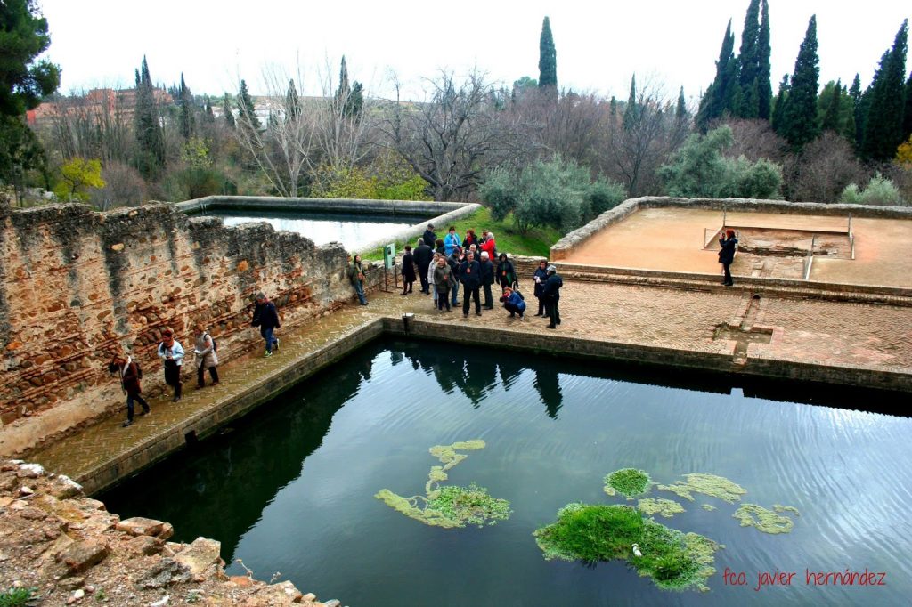 https://lugaresdegranada.blogspot.de/2015/07/los-albercones-el-generalife.html?showComment=1520398155368#c7978884119508699628