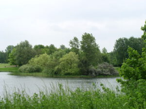 그라스가 자라는 호숫가. 호수에는 새들의 섬이 있다.