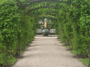 아치형 트렐레스에 덩굴잠미가 가득 감고 올라감. 멀리 축의 끝에는 분수 조형물이 서 있음